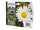Epson 18XL - 4er-Pack - XL - Schwarz, Gelb, Cyan