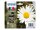 Epson 18XL - 4er-Pack - XL - Schwarz, Gelb, Cyan