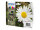 Epson 18XL - 4er-Pack - XL - Schwarz, Gelb, Cyan